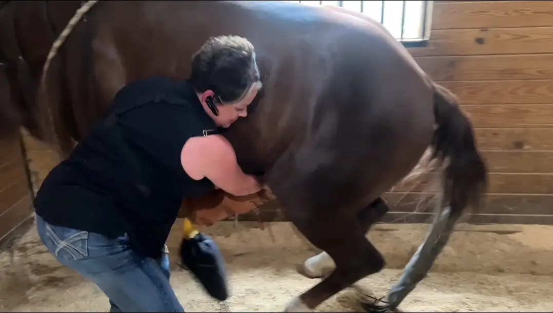 Read more about the article The Top 10 Ground Collection Secrets Every Stallion Owner Should Know