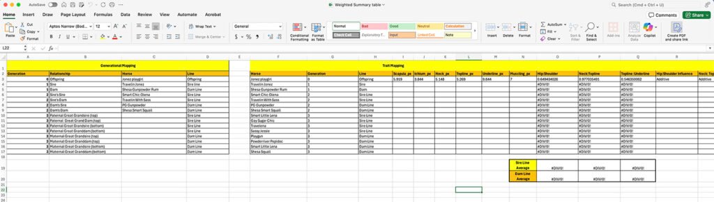 Trait mapping table for generational analysis of equine conformation measurements used to compare structural traits across sire and dam lines.